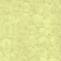 textures/basic/snake-cream.png