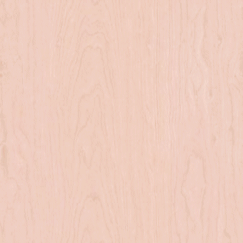 textures/basic/wood3-Ed5-l.png
